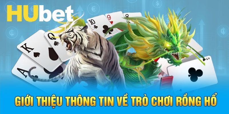 Đôi nét về siêu phẩm Rồng Hổ Hubet